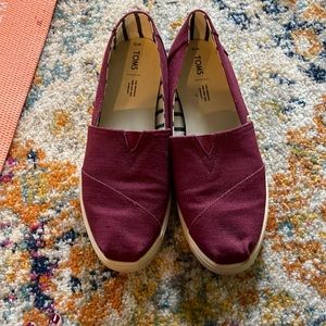 Maroon Toms Sz 12
